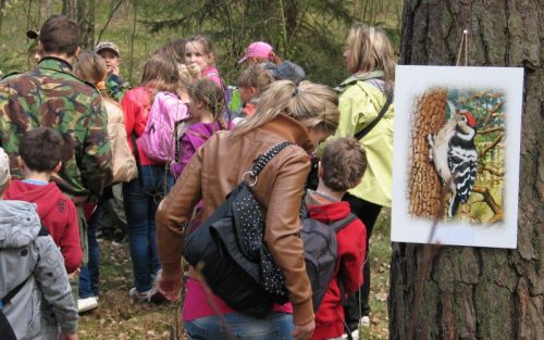  zdjęcie reportażowe z wydarzenia festiwalowego. Kliknij, aby powiększyć zdjęcie