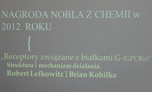  zdjęcie reportażowe z wydarzenia festiwalowego. Kliknij, aby powiększyć zdjęcie