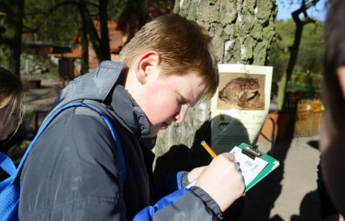  zdjęcie reportażowe z wydarzenia festiwalowego. Kliknij, aby powiększyć zdjęcie