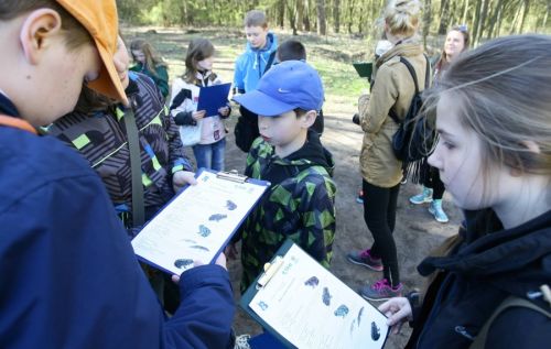  zdjęcie reportażowe z wydarzenia festiwalowego. Kliknij, aby powiększyć zdjęcie