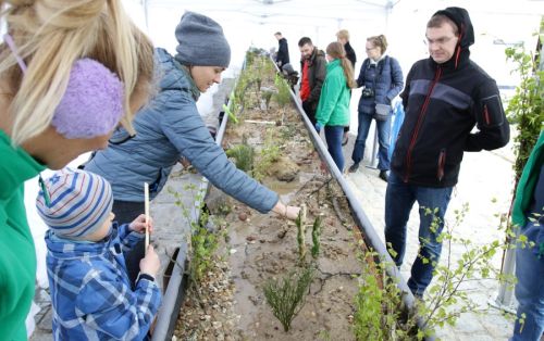  zdjęcie reportażowe z wydarzenia festiwalowego. Kliknij, aby powiększyć zdjęcie