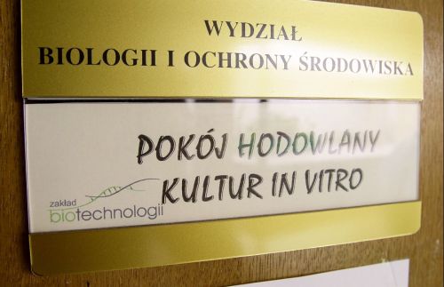  zdjęcie reportażowe z wydarzenia festiwalowego. Kliknij, aby powiększyć zdjęcie