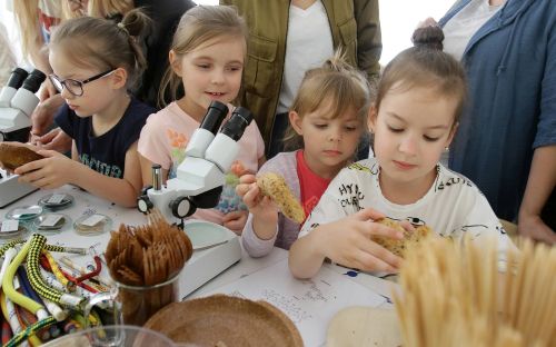  zdjęcie reportażowe z wydarzenia festiwalowego. Kliknij, aby powiększyć zdjęcie