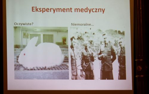  [fot. Andrzej Romański] Zdjęcie reportażowe z XIX Toruńskiego Festiwalu Nauki i Sztuki.  Kliknij, aby powiększyć zdjęcie