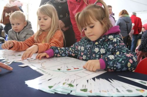  zdjęcie reportażowe z wydarzenia festiwalowego. Kliknij, aby powiększyć zdjęcie