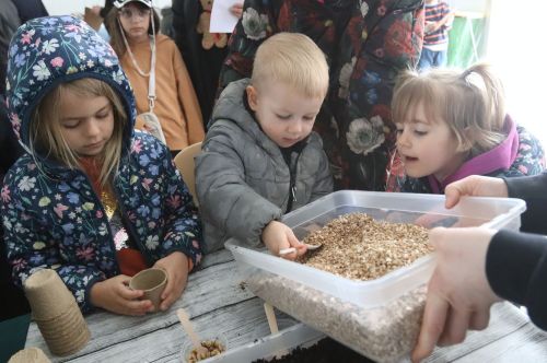  zdjęcie reportażowe z wydarzenia festiwalowego. Kliknij, aby powiększyć zdjęcie